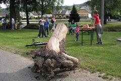 den_deti_3_20110209_1135877886