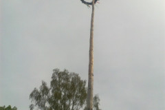 majka_2012_20120503_1770978923