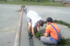 majka_2012_20120503_1778724340