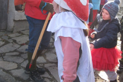 masopust027