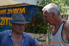 brnirov2013-016