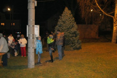 Rozsvěcování vánočního stromečku 2011