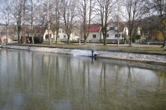 phoca_thumb_l_drba_rybnka_2011_003_20110315_1492187012