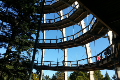 20130928_125003