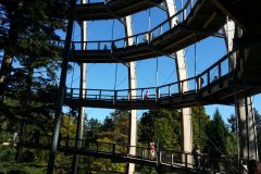 20130928_125055